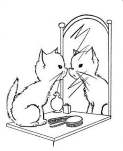 cat